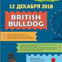 Конкурс английского языка "British Bulldog" - Студия английского языка «English Stars+», Екатеринбург
